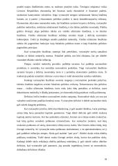 Infliacijos problemos 18 puslapis