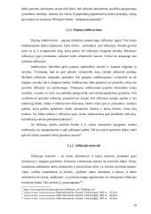 Infliacijos problemos 10 puslapis