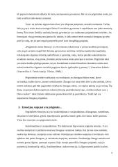 Prigimtinės teisės 6 puslapis