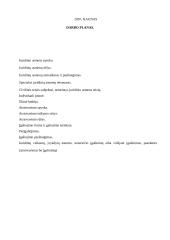 Juridiniai asmenys - privatūs ir viešieji 2 puslapis