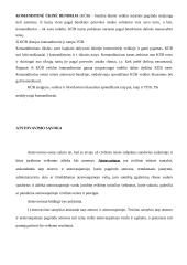 Juridiniai asmenys - privatūs ir viešieji 13 puslapis