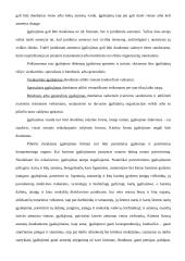 Juridiniai asmenys - privatūs ir viešieji 17 puslapis