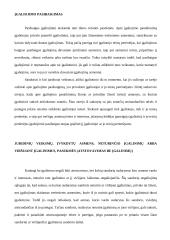 Juridiniai asmenys - privatūs ir viešieji 20 puslapis