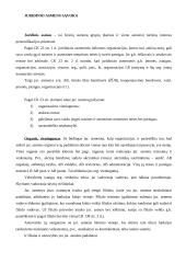 Juridiniai asmenys - privatūs ir viešieji 4 puslapis