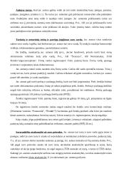 Juridiniai asmenys - privatūs ir viešieji 5 puslapis