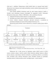 Informacijos valdymas: telekomunikacinių paslaugų tiekimas AB "TEO LT" 7 puslapis