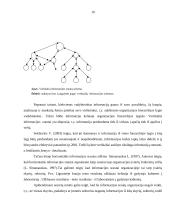 Informacijos valdymas: telekomunikacinių paslaugų tiekimas AB "TEO LT" 10 puslapis