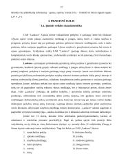 Informacinė įmonės veikla ir vystymasis 12 puslapis