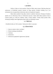 Informacinė įmonės veikla ir vystymasis 4 puslapis