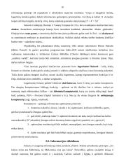 Informacinė įmonės veikla ir vystymasis 10 puslapis