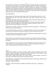 Psichologija: jutimas ir suvokimas 7 puslapis