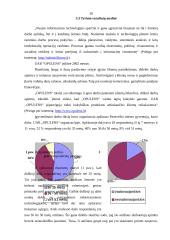 Informacinių technologijų (informacinių sistemų) poveikis organizacijos vidinei veiklai 20 puslapis
