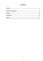 Inovacijos automobilių versle 2 puslapis