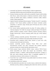 Inovacijos automobilių versle 13 puslapis