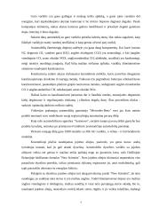 Inovacijos automobilių versle 7 puslapis