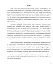 Inovacinis projektas 3 puslapis