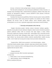 Inovacinis projektas 4 puslapis