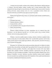Inovacinis projektas 9 puslapis