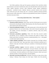 Inovacinis projektas 10 puslapis