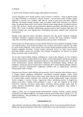 Savitarpio pagalba ir konkurencija 4 puslapis