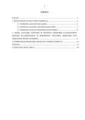 Intelektinės nuosavybės teisinė apsauga  elektoninėje erdvėje 2 puslapis