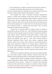 Intelektinės nuosavybės teisinė apsauga  elektoninėje erdvėje 13 puslapis