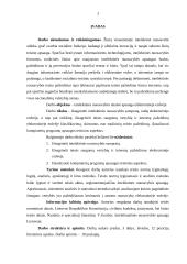 Intelektinės nuosavybės teisinė apsauga  elektoninėje erdvėje 3 puslapis