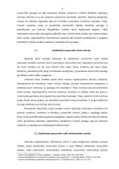Intelektinės nuosavybės teisinė apsauga  elektoninėje erdvėje 6 puslapis