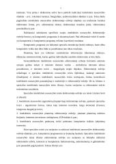 Intelektinės nuosavybės teisinė apsauga  elektoninėje erdvėje 7 puslapis