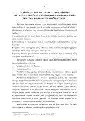 Intelektinės nuosavybės teisinė apsauga  elektoninėje erdvėje 10 puslapis
