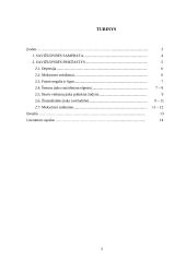 Savižudybės samprata ir jos priežastys 2 puslapis