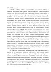 Savižudybės samprata ir jos priežastys 4 puslapis