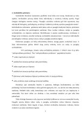 Savižudybės samprata ir jos priežastys 5 puslapis