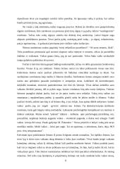 Savižudybės samprata ir jos priežastys 8 puslapis
