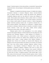 Investavimo būdai ir priemonės 11 puslapis