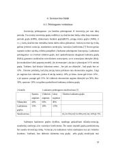 Investavimo būdai ir priemonės 17 puslapis