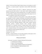 Investavimo būdai ir priemonės 18 puslapis