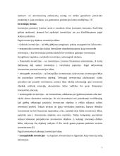 Investavimo būdai ir priemonės 6 puslapis