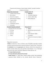 Investavimo būdai ir priemonės 8 puslapis