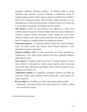 Investavimo būdai ir priemonės 9 puslapis