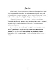 Seneka apie gyvenimą ir mirtį 9 puslapis