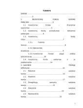 Investicinio fondo valdymo modelis 2 puslapis