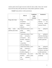 Investicinio fondo valdymo modelis 12 puslapis