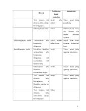 Investicinio fondo valdymo modelis 13 puslapis