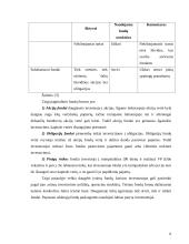 Investicinio fondo valdymo modelis 14 puslapis