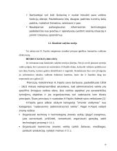 Investicinio fondo valdymo modelis 19 puslapis