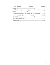 Investicinio fondo valdymo modelis 3 puslapis