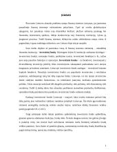 Investicinio fondo valdymo modelis 4 puslapis