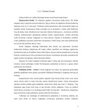 Investicinio fondo valdymo modelis 9 puslapis