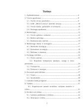 Investicinis projektas. Verslo planas: draudimas  UAB "ERGO Lietuva" 2 puslapis